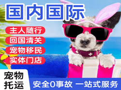 浦东机场空运国际宠物托运 【国